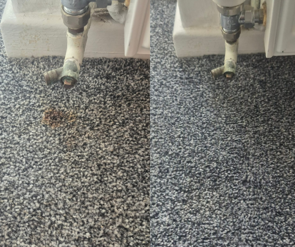 carpet cleaning home page 02